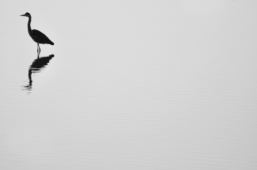 depersonalization derealization disorder