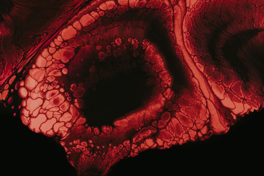 Suprachiasmatic Nucleus