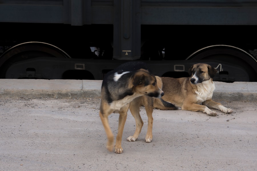 Selective attention training