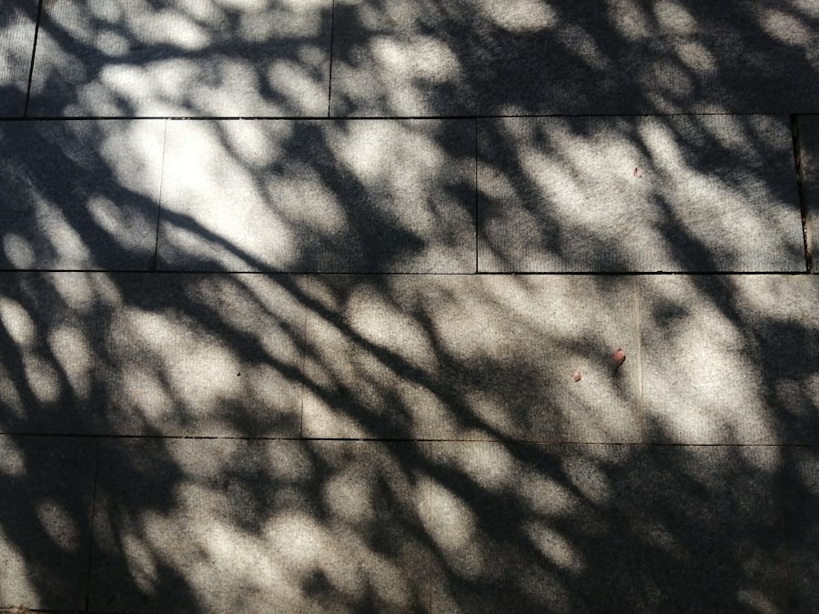 integrate shadow work