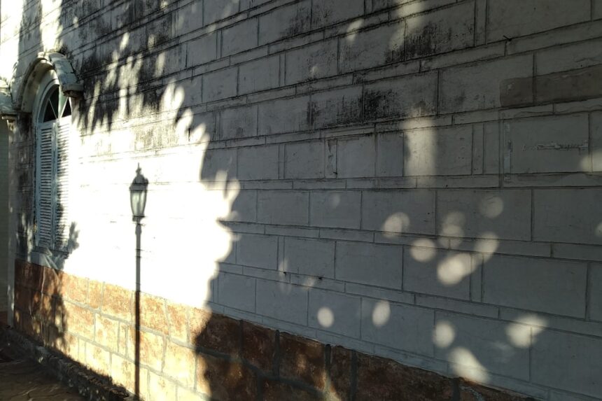 Photo integrating shadow