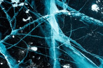 Photo nervous system grounding