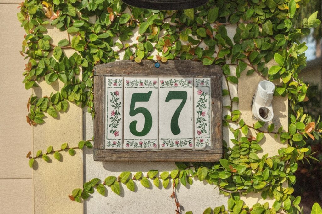 Understanding the Fight Flight Freeze Fawn Response