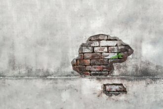 Photo change brain pathways trauma