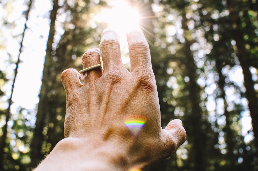 Spliting Yourself Reconnecting: Healing the Split Self