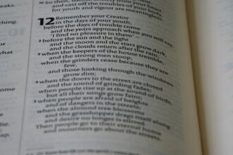 Photo Cialdinis principles