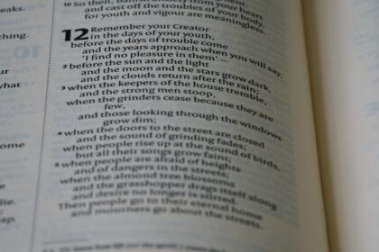 Photo Cialdinis principles