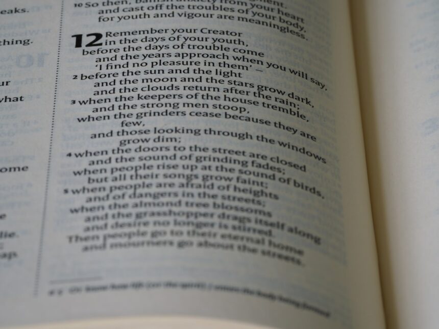 Photo Cialdinis principles