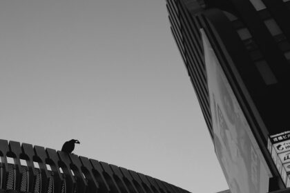 Photo craving interrupt protocol