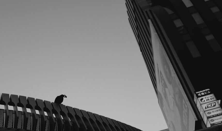 Photo craving interrupt protocol