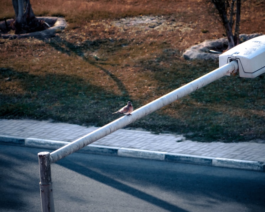 Photo anti-hijack guardrails