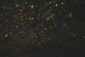 Photo non-attachment