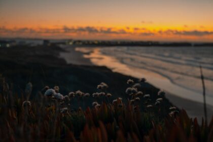 Photo self awareness