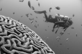 Photo cognitive science consciousness