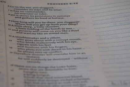 Photo depersonalization derealization questionnaire