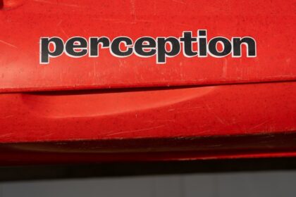 Photo depersonalization PTSD