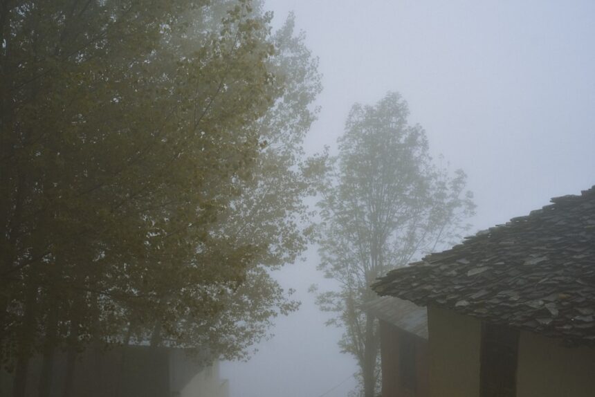 Photo Brain Fog