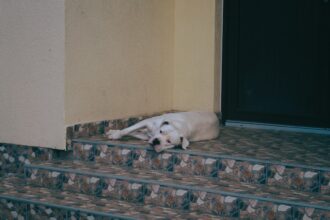 Photo Exhaustion Loop