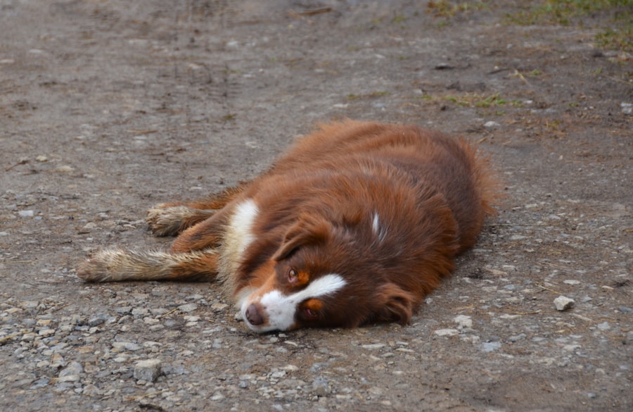 Photo Exhaustion Loop