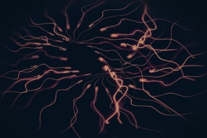 Photo Manifestation neuroscience