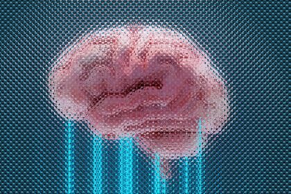 Photo Negativity bias brain