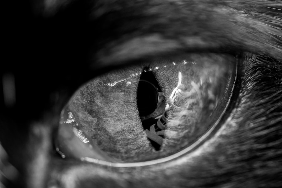 Photo Blind awareness syndrome