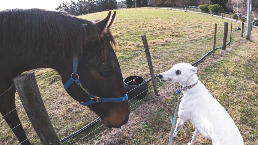 Photo Selective attention training