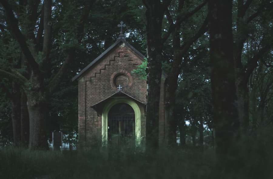 cults exploit loneliness