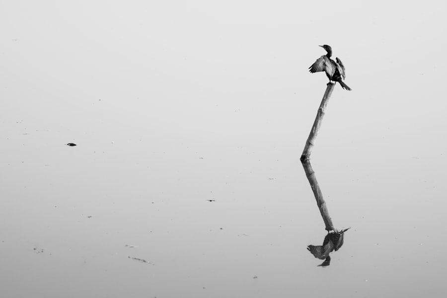 Photo toxic positivity