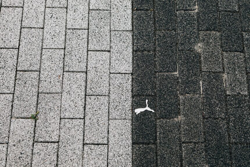 Photo environment design