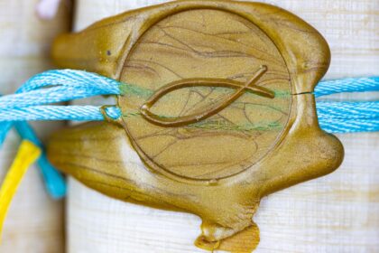 Photo reticular activating system