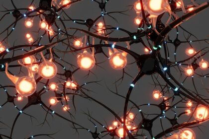 Photo neuroscience