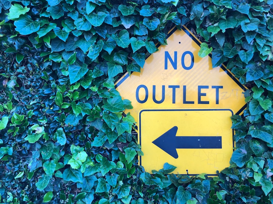 Photo quit job intuition