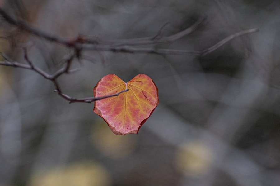 Photo consciousness tied to unconditional love