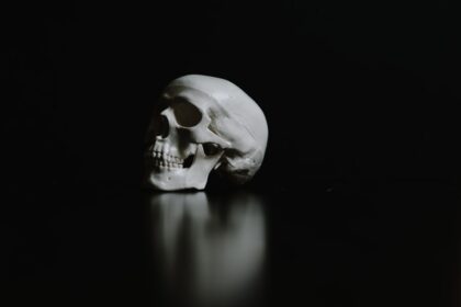 Photo consciousness survives death