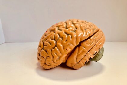Photo brain communication