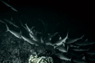 Photo dark night of the soul