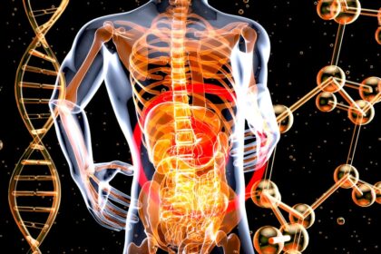 Photo stabilize nervous system