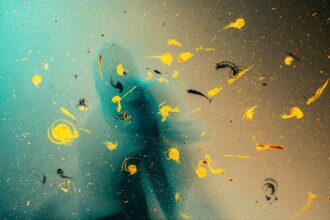 Photo insight meditation