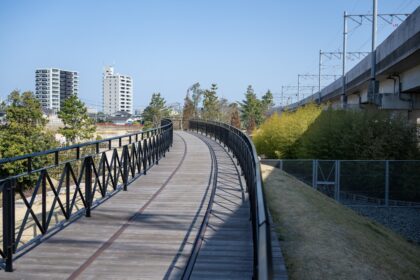 Photo cognitive guardrails