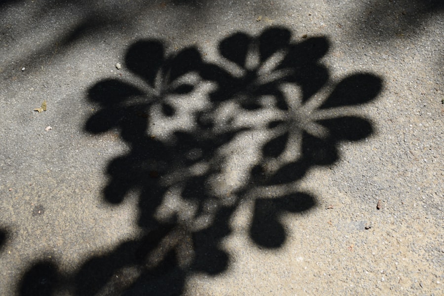 Photo jungian shadow work
