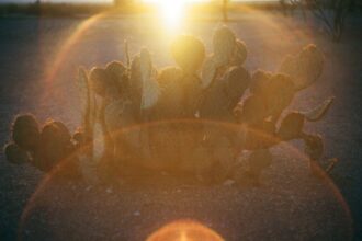 Photo spiritual groups