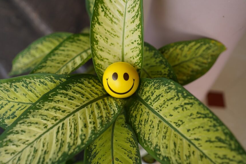 Photo toxic positivity research