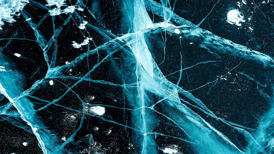 Photo prefrontal cortex amygdala connection