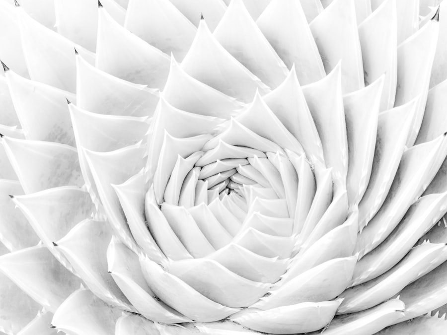 purity spirals