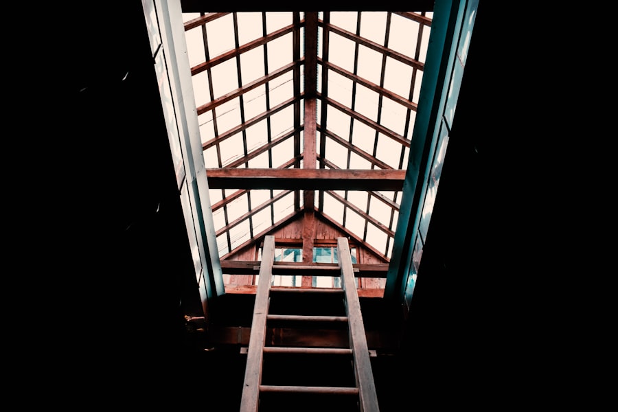 self soothing ladder