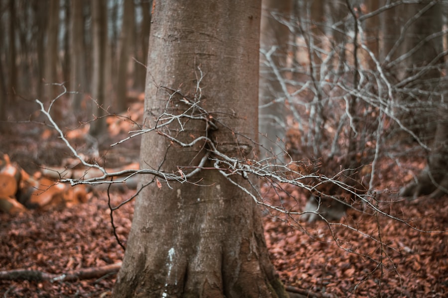 trauma informed growth framework