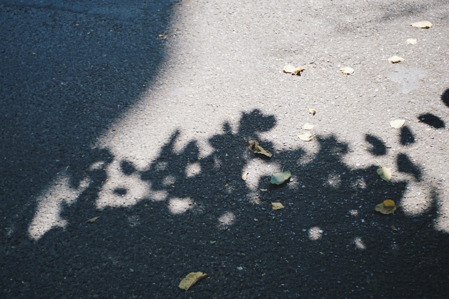 shadow work integration