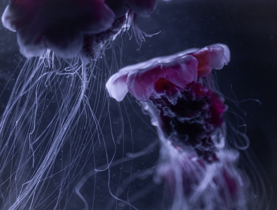 stabilize nervous system