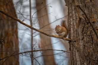 Photo behavior change